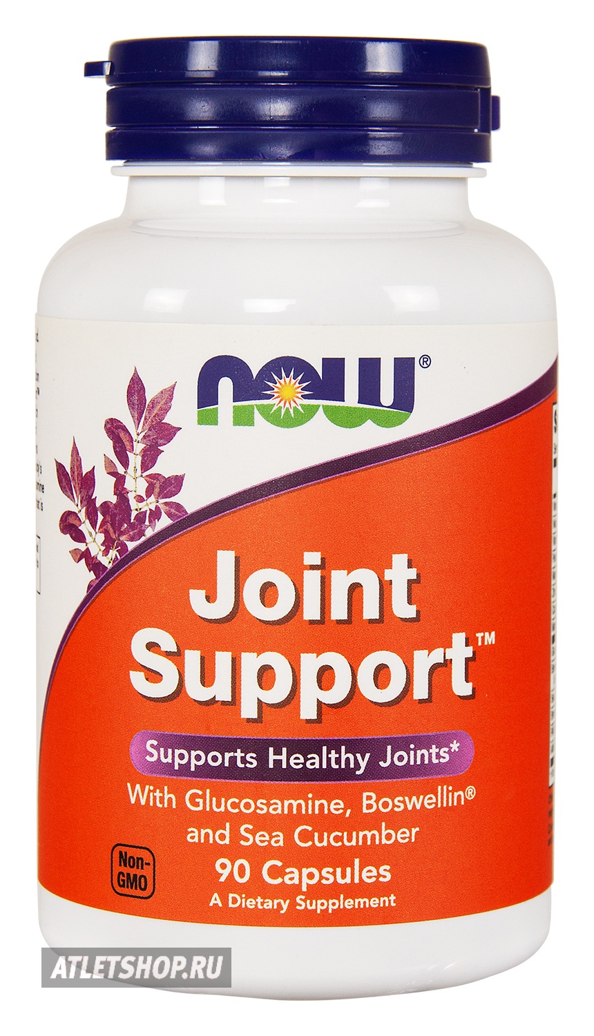 NOW Joint Support