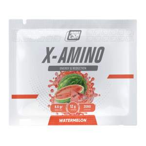 Иконка 2SN X-Amino
