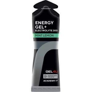Иконка Academy-T Energy Gel + Electrolyte 300